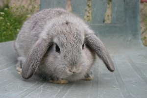 85189_2234oHCd7MI3soF8