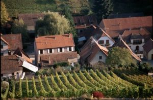 Photo: ADT67/C.FLEITH